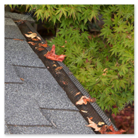 Grillage anti-feuilles posé sur gouttière
