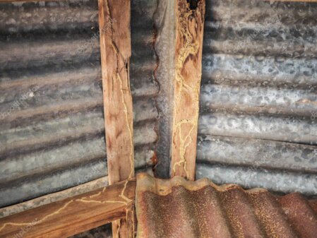 Inspection visuelle d’une charpente en bois