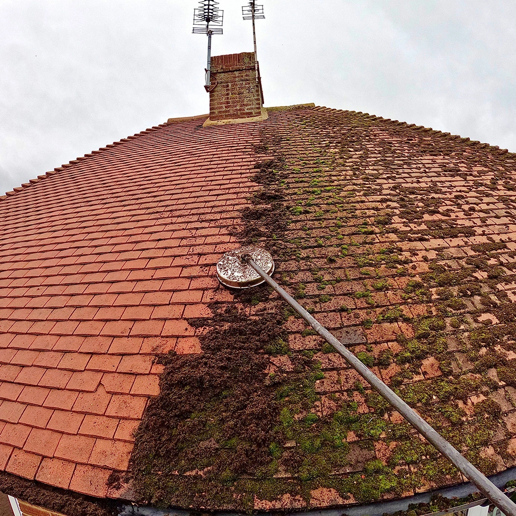 Nettoyage de toiture